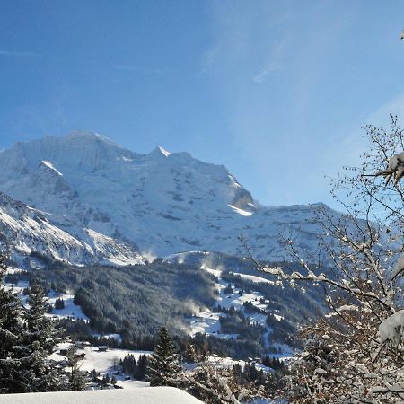 Apartment Central By Interhome Wengen Exterior photo